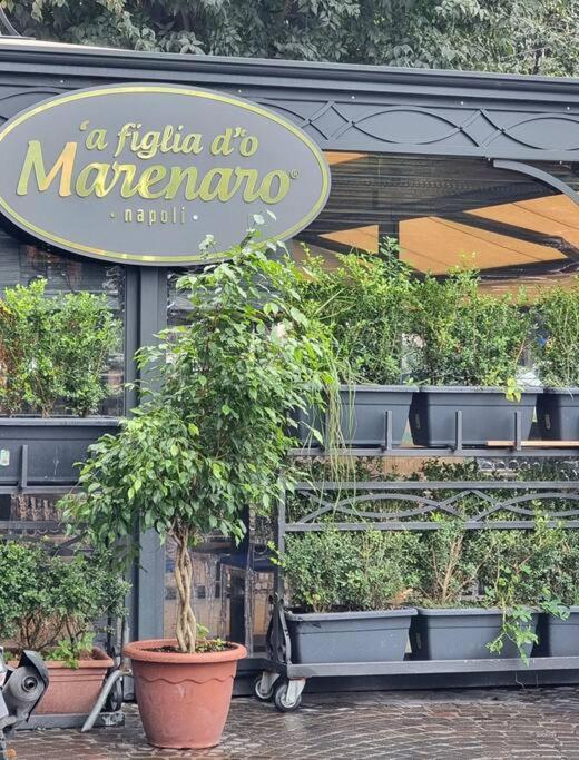 Casa Comoda E Centrale In Quartiere Storico Di Napoli Esterno foto
